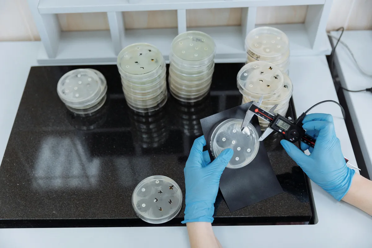 腸内環境と体臭の関係を科学で解説｜アンモニア・腸内細菌・皮膚放散の実践ガイド