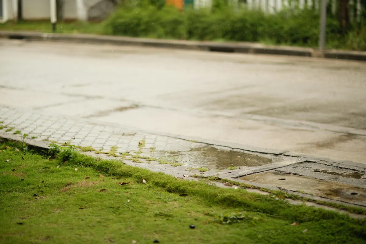 雨上がりの地面