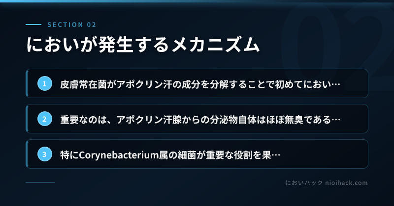 においが発生するメカニズムのまとめ