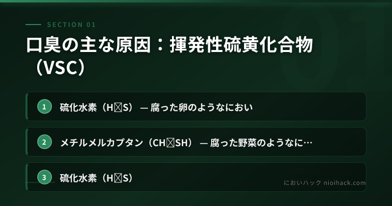 口臭の主な原因:揮発性硫黄化合物(VSC)のまとめ