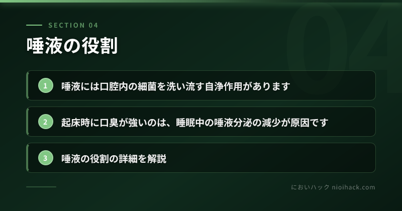 唾液の役割のまとめ