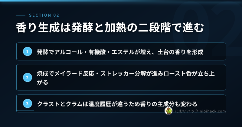 香り生成は発酵と加熱の二段階で進むのまとめ