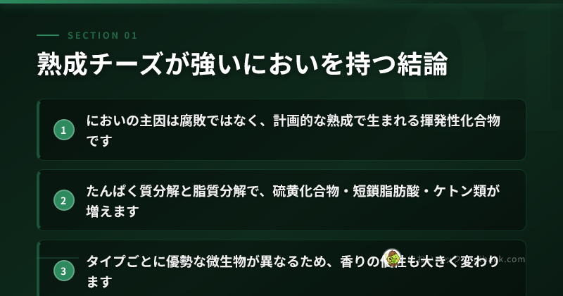 熟成チーズが強いにおいを持つ結論のまとめ
