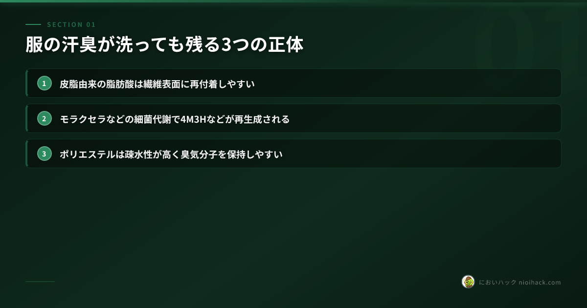服の汗臭が洗っても残る3つの正体のまとめ