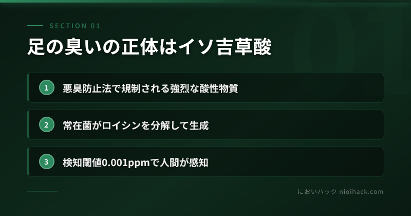 足の臭いの正体はイソ吉草酸のまとめ