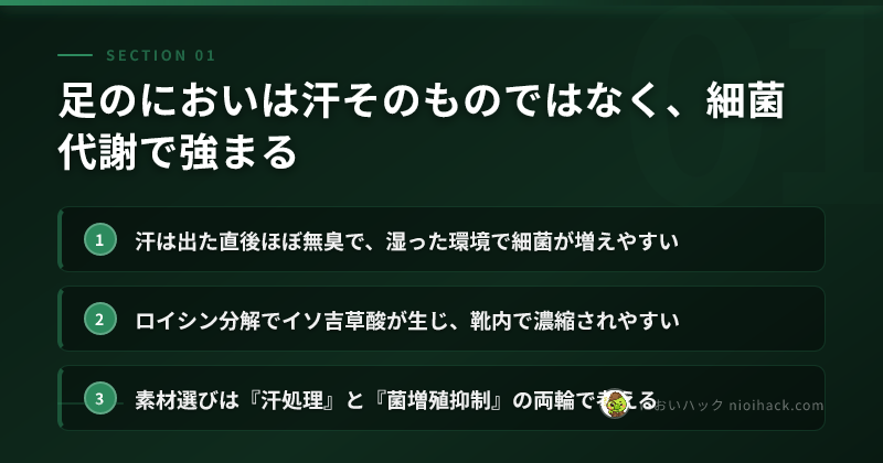 足のにおいは汗そのものではなく、細菌代謝で強まるのまとめ