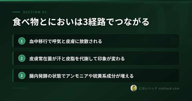 食べ物とにおいは3経路でつながるのまとめ