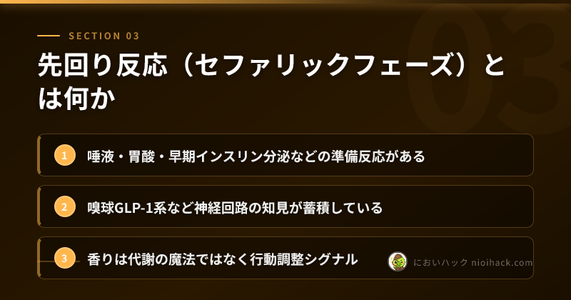 先回り反応(セファリックフェーズ)とは何かのまとめ