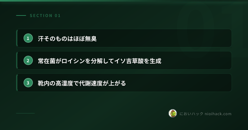 足が臭うメカニズムのまとめ