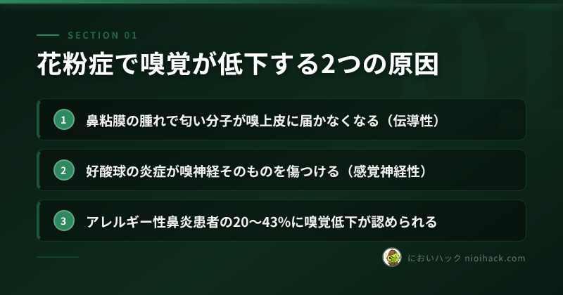 花粉症で嗅覚が低下する2つの原因のまとめ