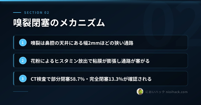 嗅裂閉塞のメカニズムのまとめ