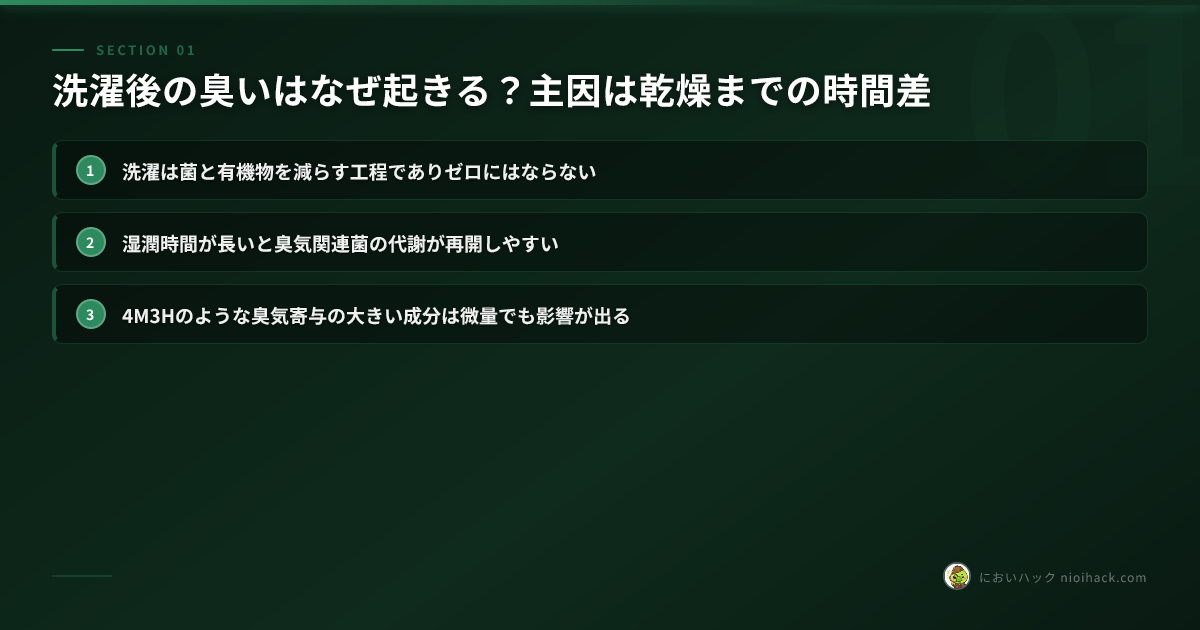 セクションまとめ: 洗濯後の臭い発生プロセス