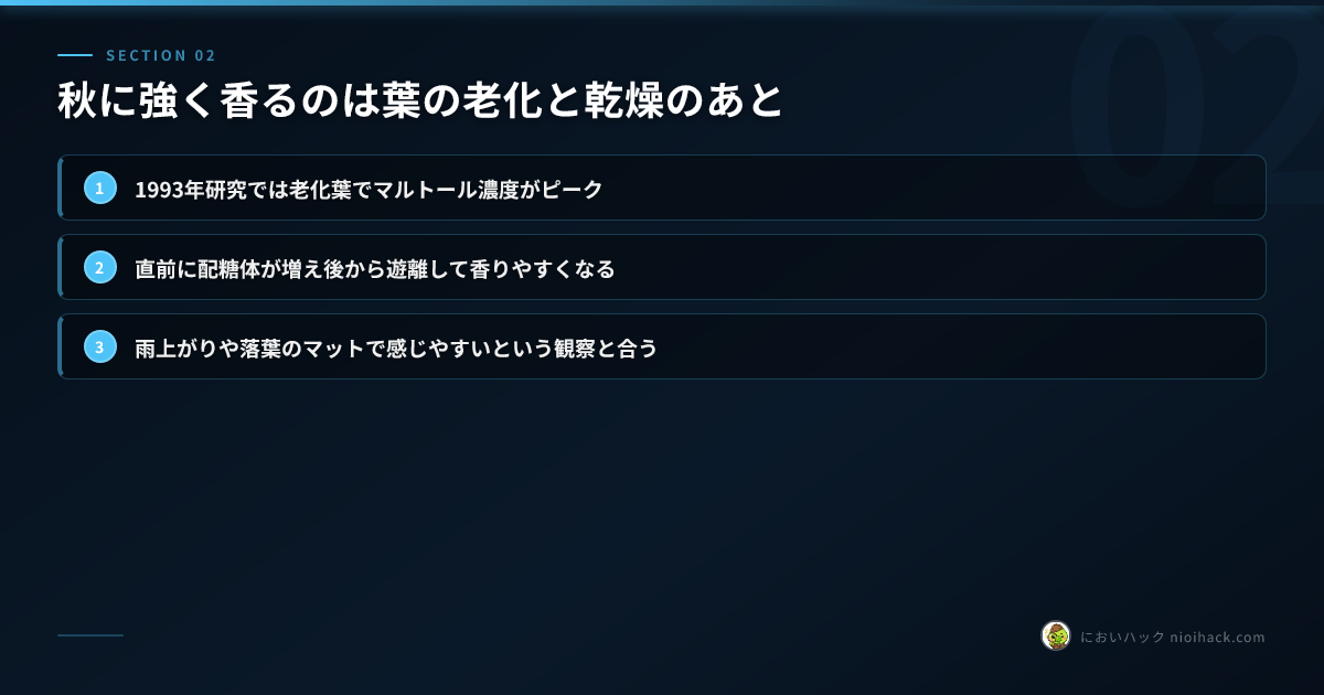 秋の条件で香りが強まるポイントのまとめ