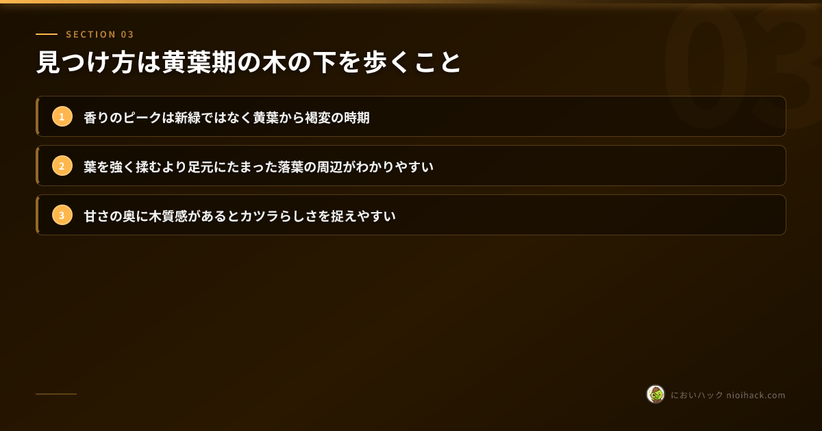カツラの香り表現を整理したまとめ
