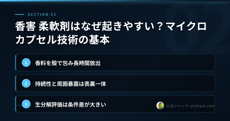 マイクロカプセル構造の概念図