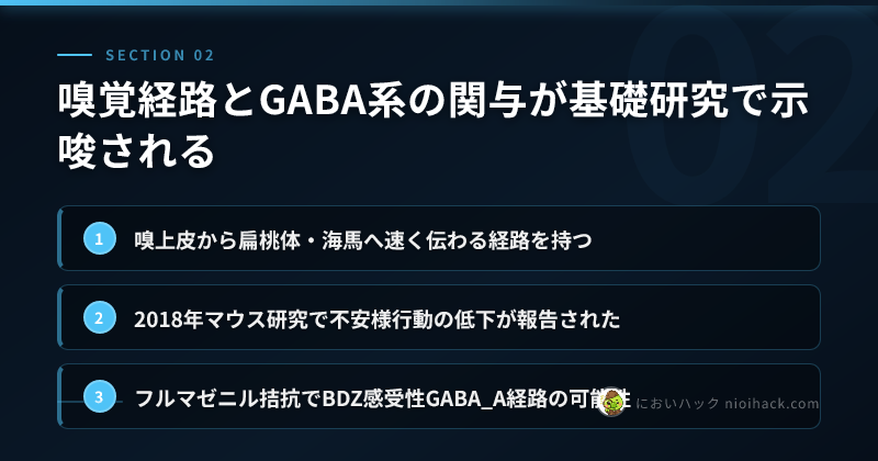 嗅覚経路とGABA系の関与が基礎研究で示唆されるのまとめ