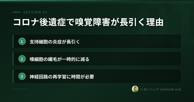 コロナ後遺症で嗅覚障害が長引く理由のまとめ