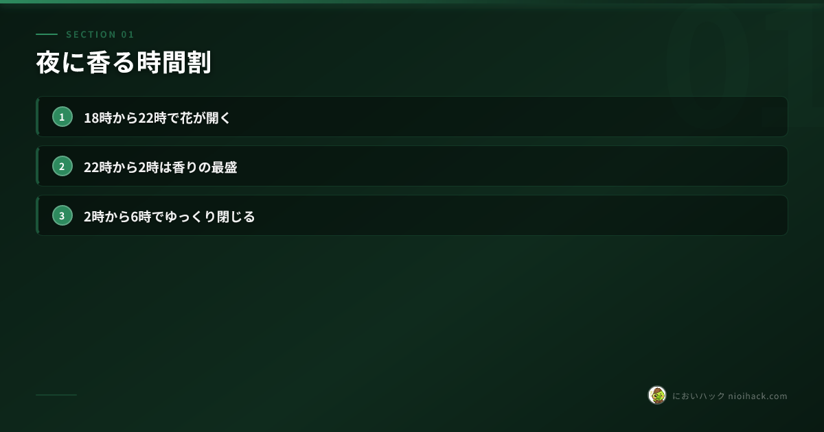夜に香る時間割のまとめ