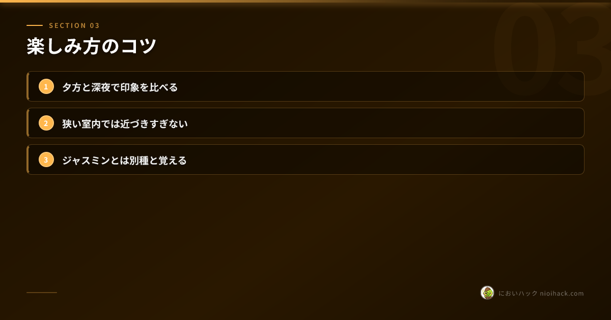 楽しみ方のコツのまとめ