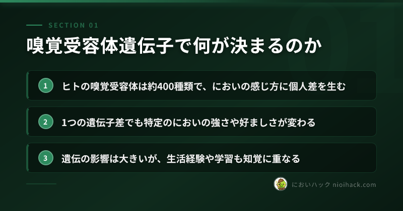 嗅覚受容体遺伝子で何が決まるのかのまとめ