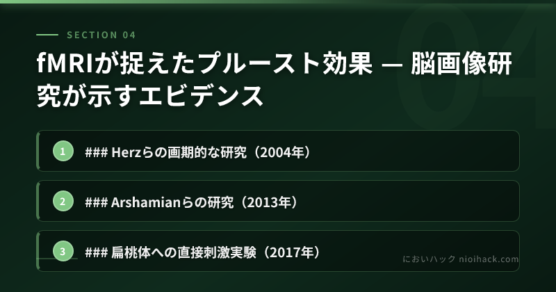 fMRIが捉えたプルースト効果 — 脳画像研究が示すエビデンスのまとめ