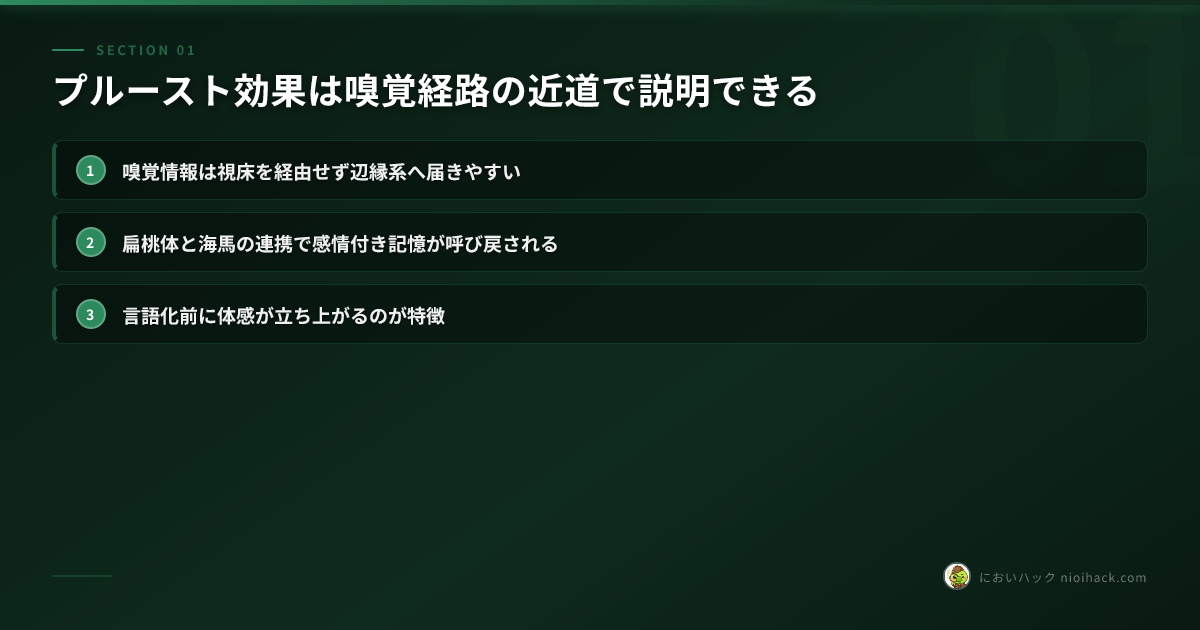 プルースト効果は嗅覚経路の近道で説明できるのまとめ
