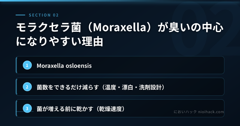 モラクセラ菌（Moraxella）が臭いの中心になりやすい理由のまとめ