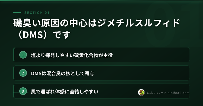 磯臭い原因のまとめ