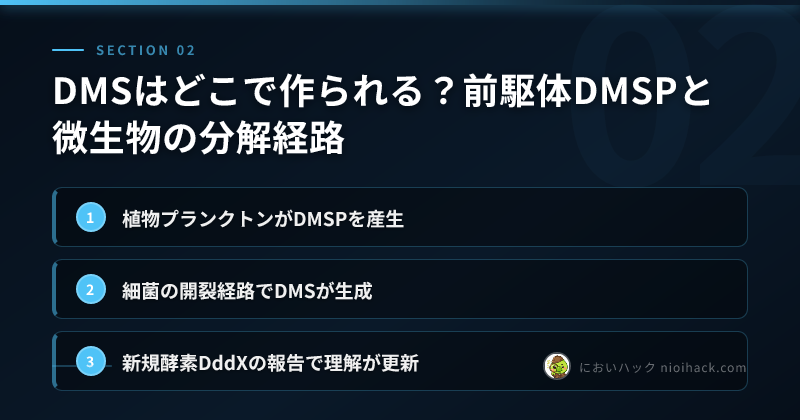 DMS生成経路のまとめ