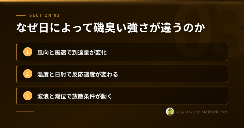 日ごとの差が出る要因まとめ