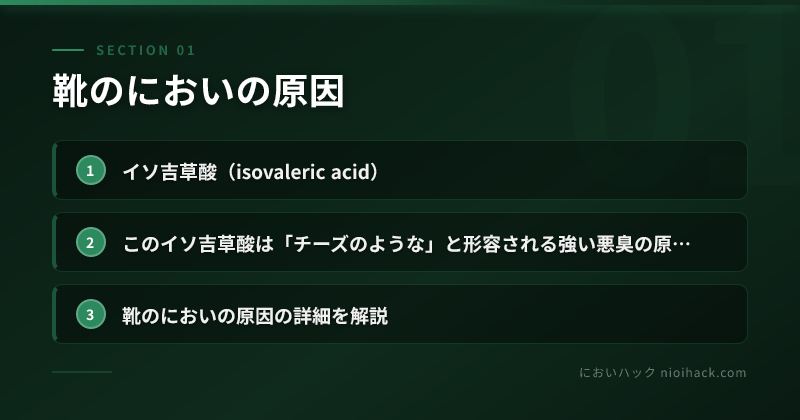 靴のにおいの原因のまとめ