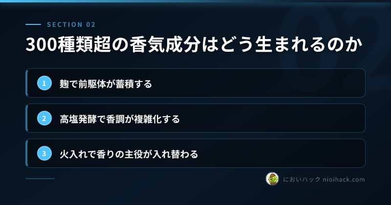 セクション要点2