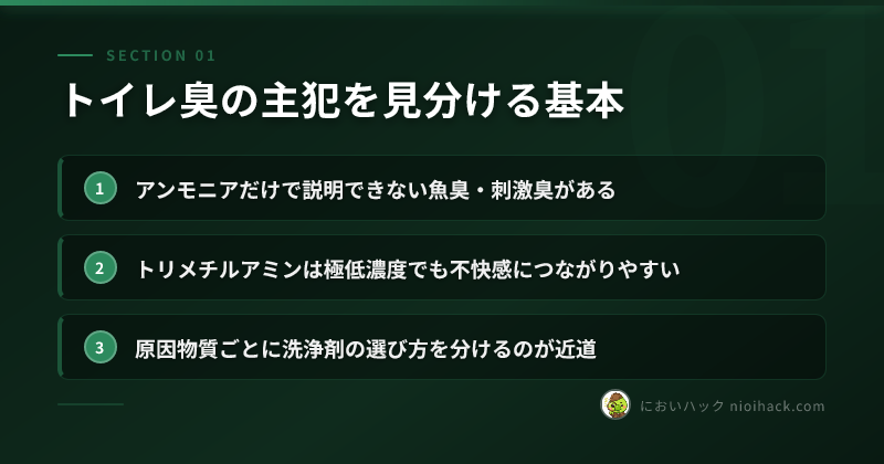 トイレ臭の主犯を見分ける基本のまとめ