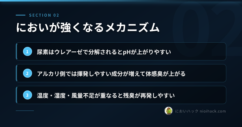 においが強くなるメカニズムのまとめ