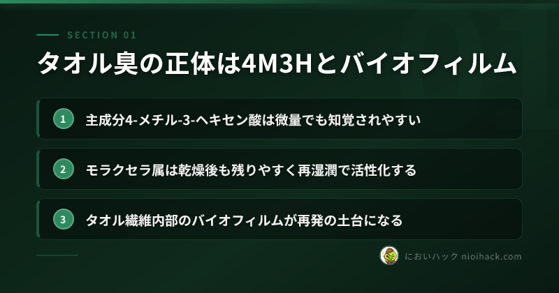 タオル臭の正体は4M3Hとバイオフィルムのまとめ