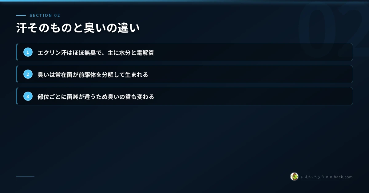 汗そのものと臭いの違いのまとめ