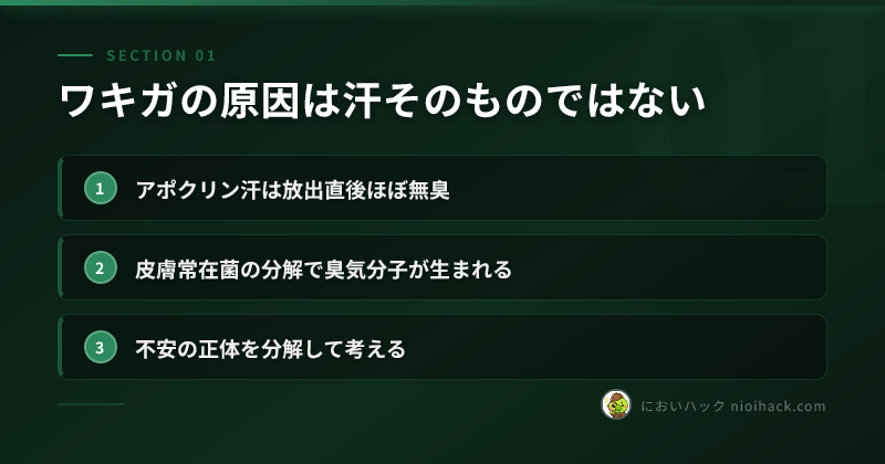 ワキガの原因は汗そのものではないのまとめ