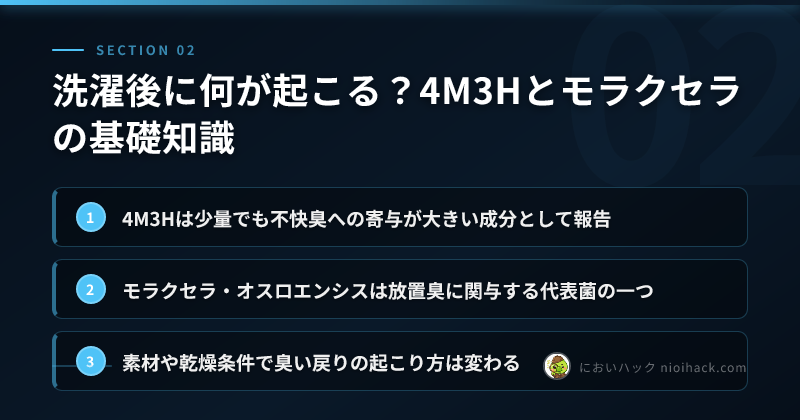 洗濯後に何が起こる?4M3Hとモラクセラの基礎知識のまとめ